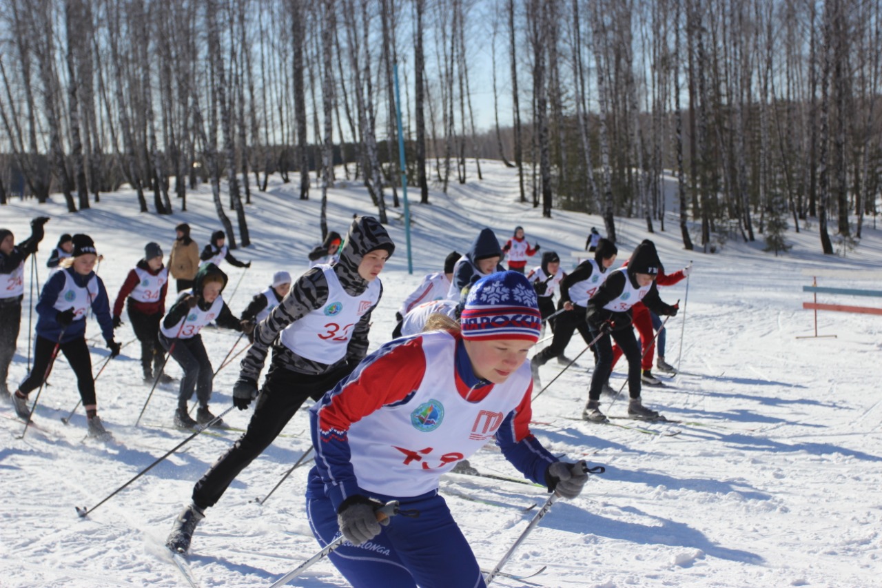 В рамках Программы 